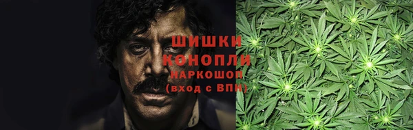 мдпв Богородицк