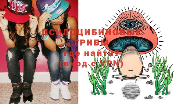 гидропоника Богданович