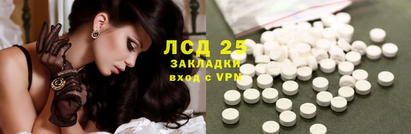 мдпв Богородицк