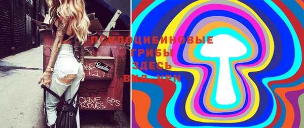 мдпв Богородицк